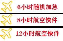 西昌空运代理快递公司,专业空运当天件